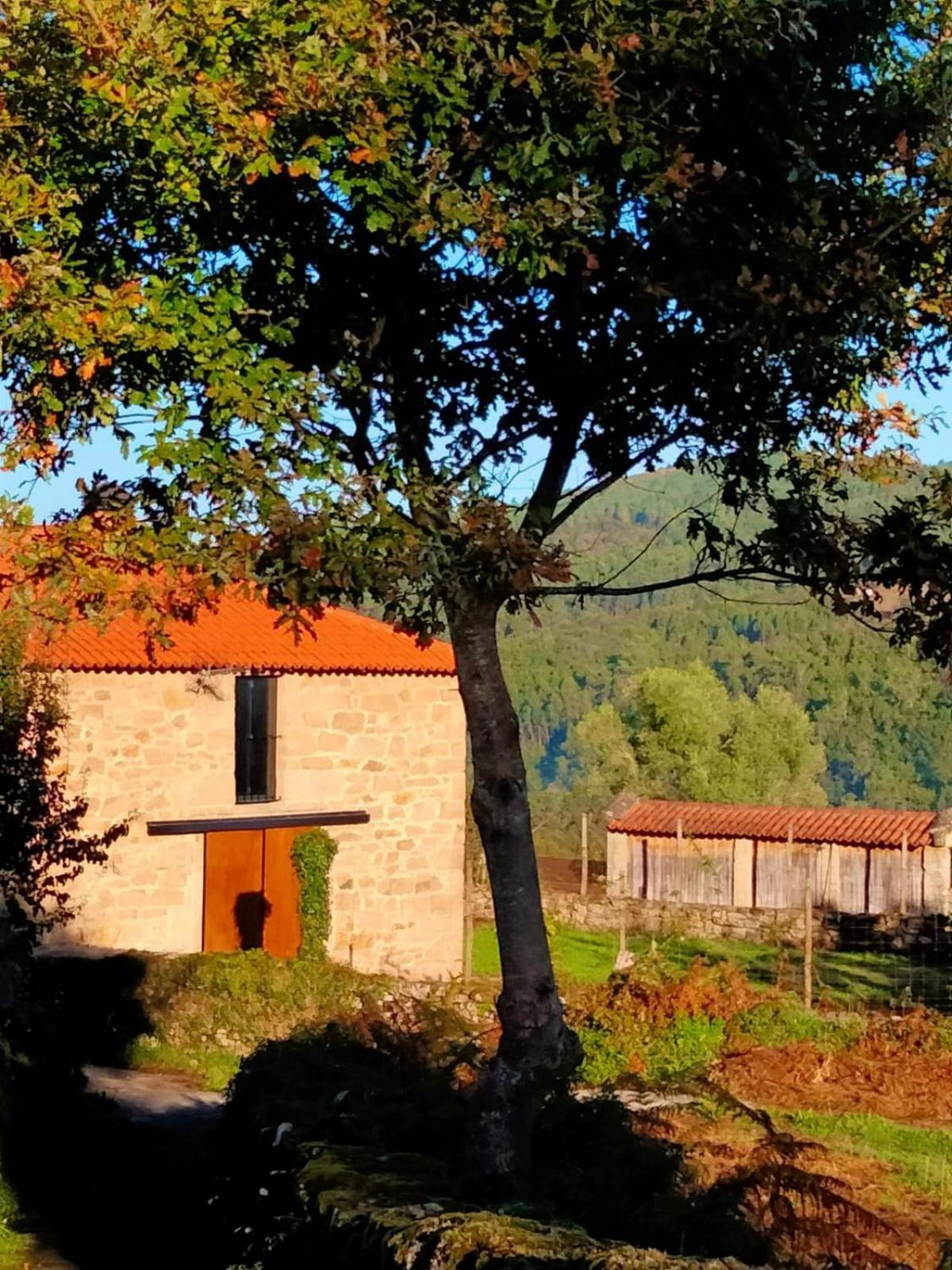 Vive Una Escapada Rural Con Alma, Cerca De Todo Y Lejos Del Ruido Понтеведра Экстерьер фото